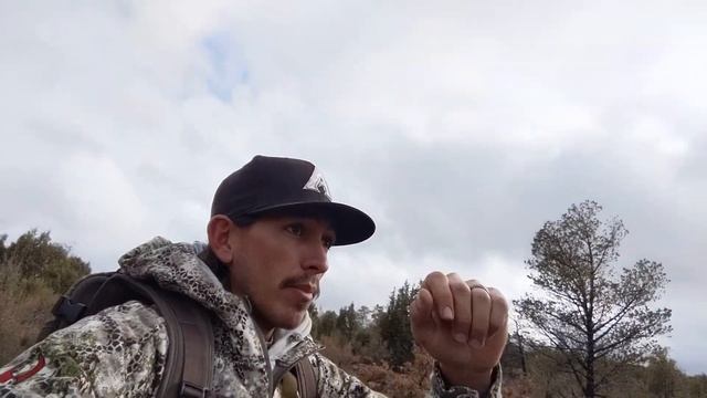 az shed hunt ! finding big browns !! смотреть онлайн