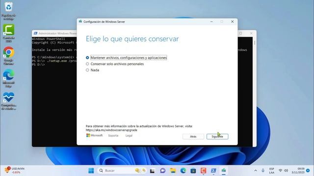 Windows 10 AUMENTA su CUOTA / EL FRACASO de Windows 11 смотреть онлайн