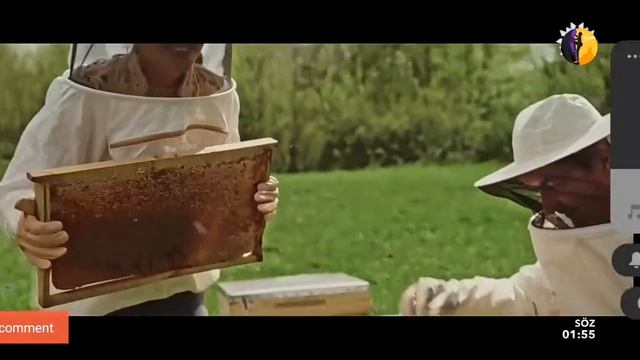 STAR TV canlı yayın canlı izle hemen şimdi canlı izle bügün canlı izle TV canlı izle ABONE OL смотреть онлайн