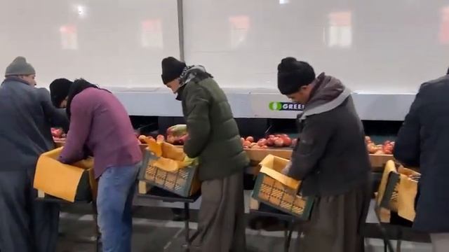 IRAN APPLE READY FOR INDIA смотреть онлайн