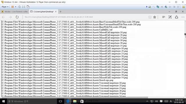 Wcoke - Live Forensic Collecting Tool смотреть онлайн