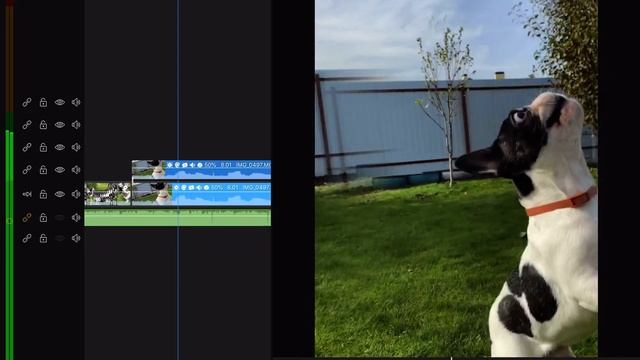 Iphone 11 Pro for IG stories made in Lumafusion. workflow смотреть онлайн