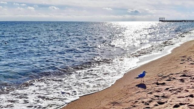 922. 🎼.Antonio de Lucena - «Gwendoline» смотреть онлайн