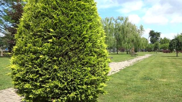 Ножовка GROSS PIRANHA 23616 смотреть онлайн