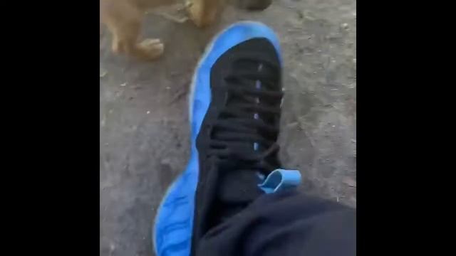 MAC’S BROTHER’S 🐶🐶🐶 смотреть онлайн