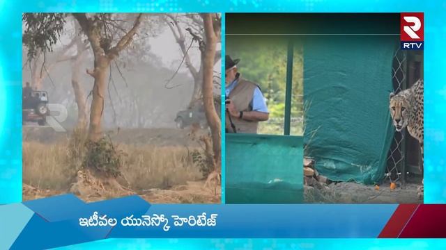PM Modi Jeep Safari at Kaziranga National Park in Assam | పులుల మధ్య ప్రధాని మోదీ | RTV смотреть онлайн