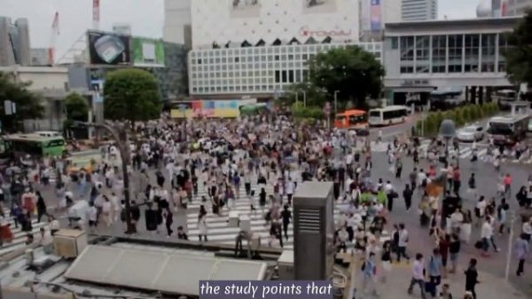 Can Eating Apple Fruit Regularly Affect Your Health Negatively?