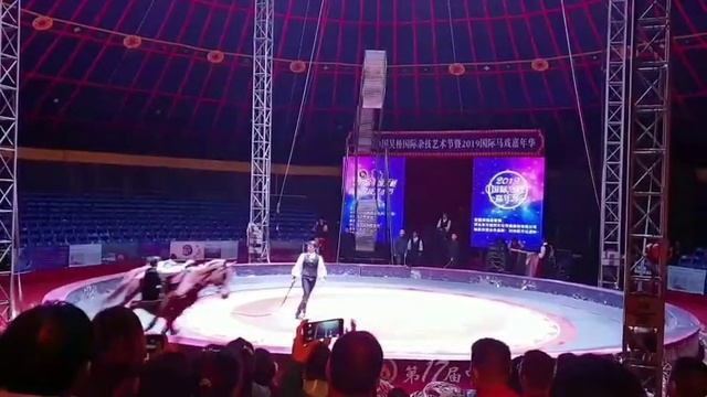Душанбе смотреть онлайн
