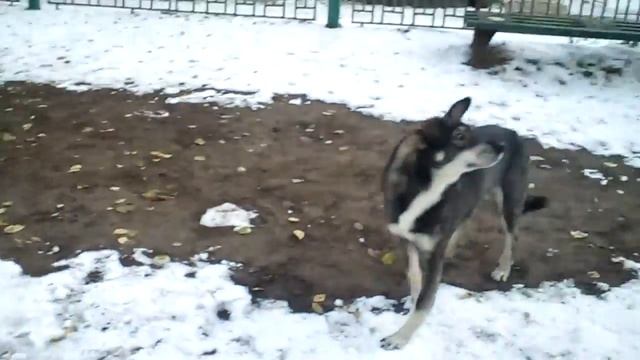 Делаем добро смотреть онлайн