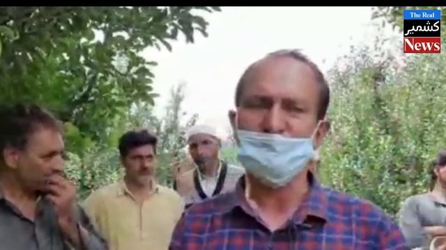 very little demand for Kashmiri apples in many markets смотреть онлайн