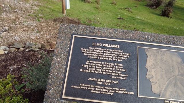 Brookings, Or Bits of Azalea Park, mid March 2022 (New Osmo Pocket Camera Test) смотреть онлайн