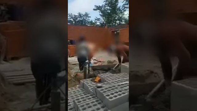 Граждан Узбекистана ловили на стройке в Павлодаре смотреть онлайн