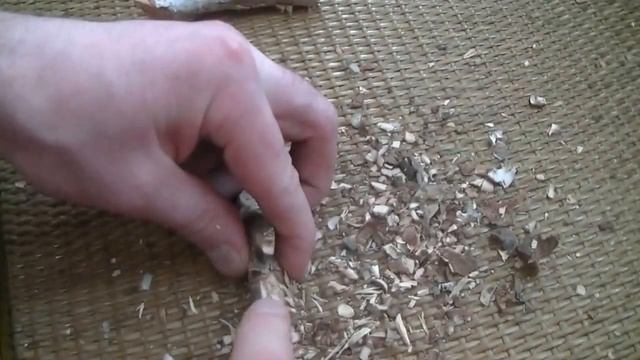 На что способен мультитул Leatherman Squirt Ps4 Тест ч 1 Творческая работа