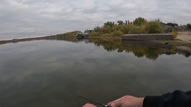 #CrazyFish  с искусственным мотылем и живыми пчелами