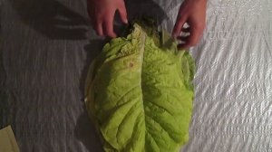 Первая ломка листьев табака  и (обзор сортов)