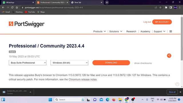 HOW TO DOWNLOAD BURPSUITE #bugsbunny смотреть онлайн