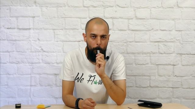 Linx Blaze Vaporizer Review смотреть онлайн