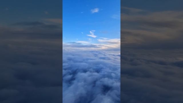 looking out the window ✨ fly mood . смотреть онлайн