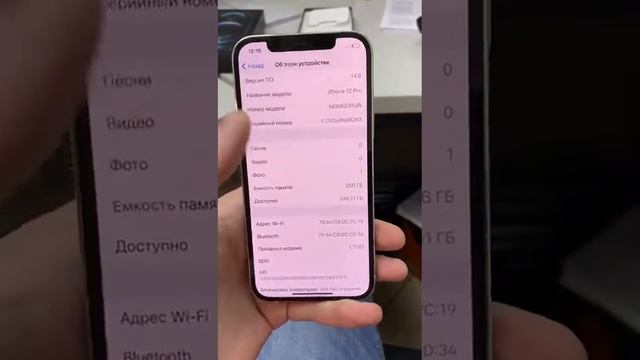 11 августа 2021 г. смотреть онлайн