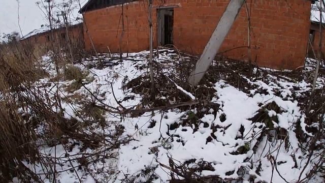 Зимний металлокоп. смотреть онлайн