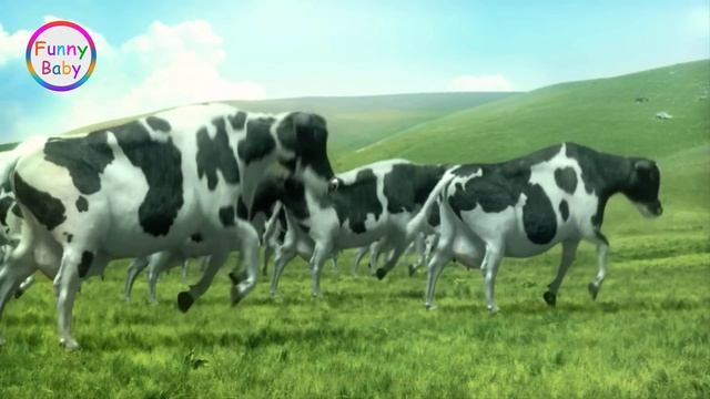FUNNY COW DANCE 3 │ Cow Song & Cow Videos (Crazy Official Music Video)