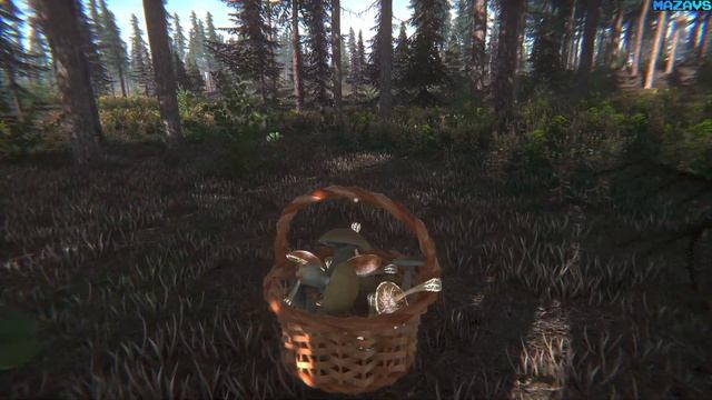 Mushroom Challenge | GamePlay PC смотреть онлайн