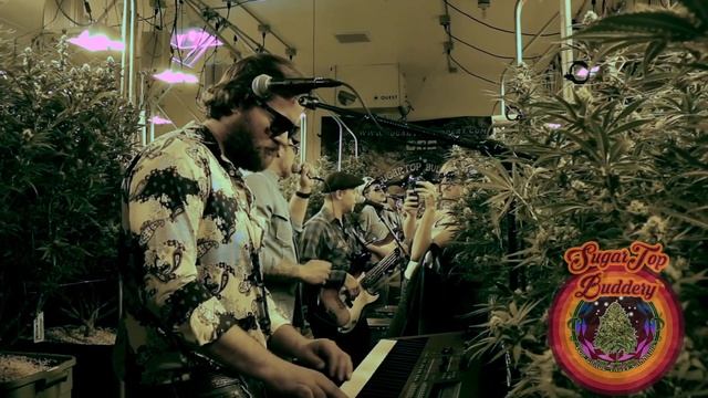 Serenaded Buds Presents: Candy Apple Bleu - Summer Breeze смотреть онлайн