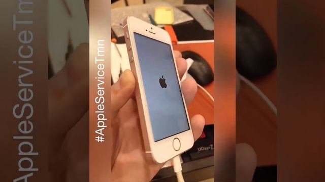Замена экрана iPhone se Тюмень смотреть онлайн