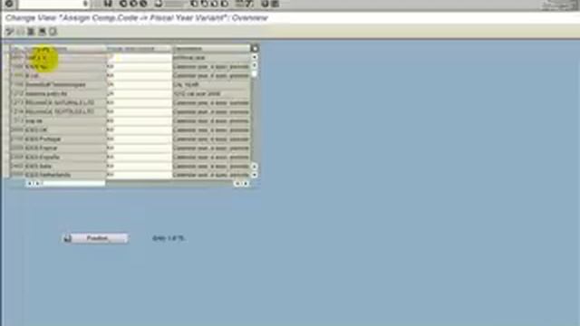 Elements of SAP GUI Window - PART 3 - Data Entry Made Simple смотреть онлайн