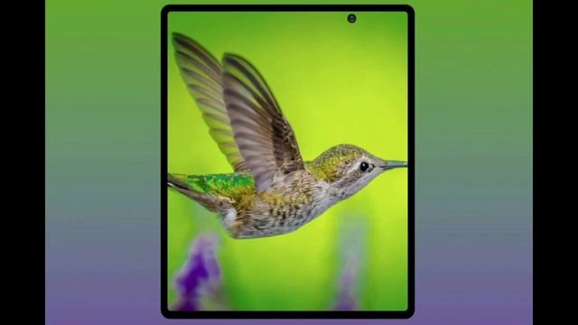 Tech News In Malayalam | Realme C11 | Redmi 9 | Motorola Edge Lite | Poco X2 Price | Vivo X50 смотреть онлайн