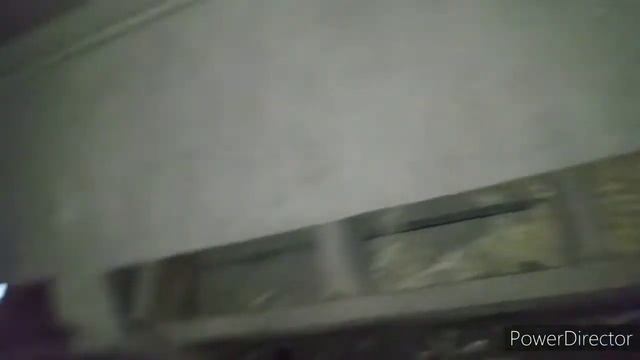 Vlog #10: Hatching Chick, Apple Pie Bread, And Fig Tree