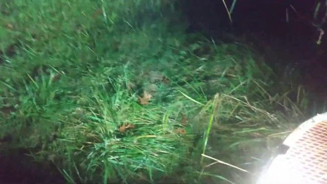 IMALENT MS18 VS $50.00 W5102 смотреть онлайн