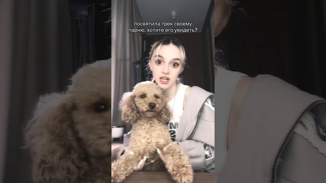 знаю, вы хотите его увидеть… #daryana #juice #мойпарень #shorts смотреть онлайн