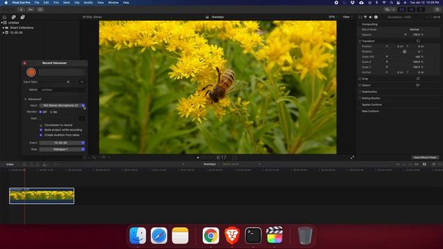 How To Do a Voiceover within Final Cut Pro on MacOS смотреть онлайн