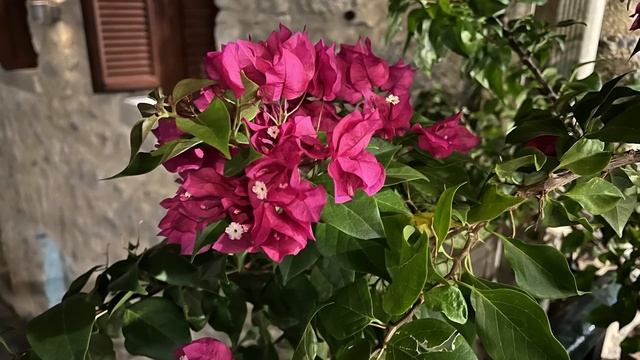 iPhone 13 Pro Review: Απλά εντυπωσιακό смотреть онлайн