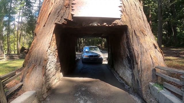 DROVE MY BIG TURBO 335 INTO A TREE смотреть онлайн