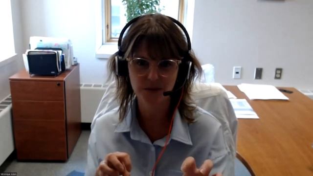 Webinaire - Panel professionnel (français) #1 смотреть онлайн