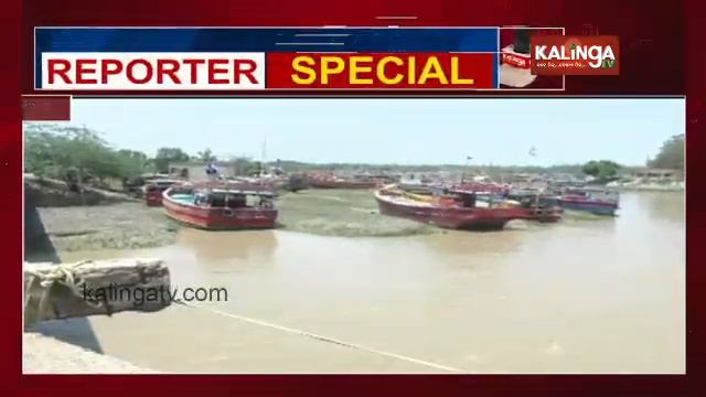 Loss Of Greenery In Bhadrak Brings A Drastic Change In Environment || Reporter Special || Kalinga T смотреть онлайн