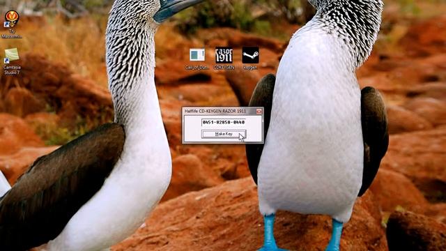 Ключ-генератор для Steam [Private] смотреть онлайн