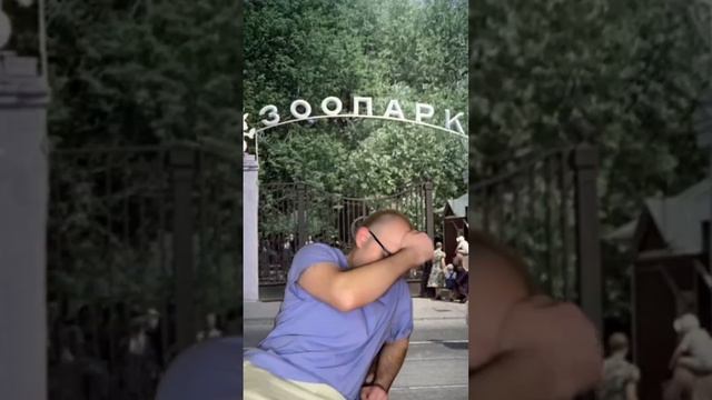 Моя фобия в зоопарке (бро, подпишись ) смотреть онлайн