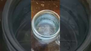 Тест на стельность коровы по молоку.