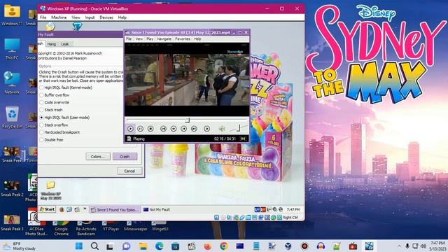 Windows XP BSOD 1251 (2023) смотреть онлайн