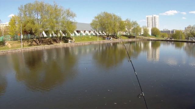 Pontoon 21 SapShad 90SP SR