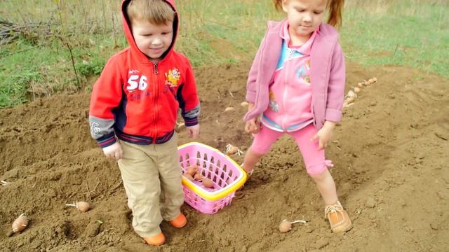 Kids Farm / Весёлая ферма с детками. Играем и Сажаем картошку.