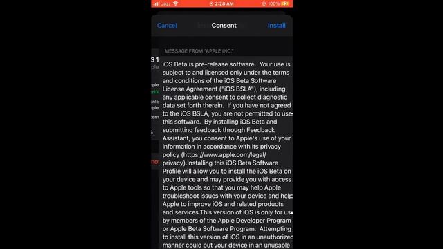 HOW TO DOWNLOAD IOS 15 BETA 1 IPHONE 6S TO 12 PRO MAX смотреть онлайн