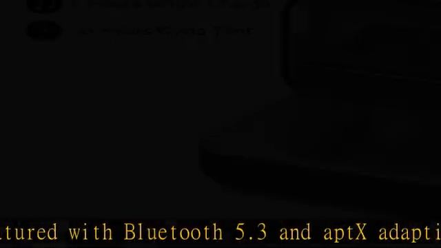 Airplane Bluetooth 5.3 Adapter For Headphones W/Portable Charging Case Support AptX Adaptive/HD/Low