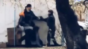 Павел Шуваев[or nah]