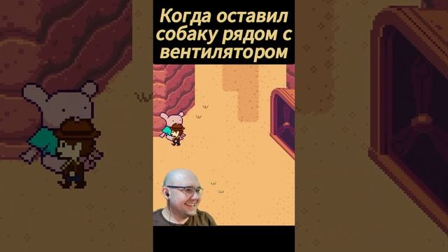 Собака летом у вентилятора такая #undertale #undertaleyellow #game #выборnow смотреть онлайн