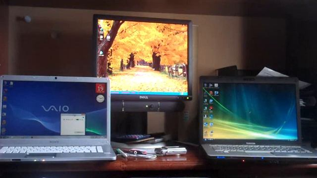 windows 7 vs windows vista vs windows xp logon test. смотреть онлайн