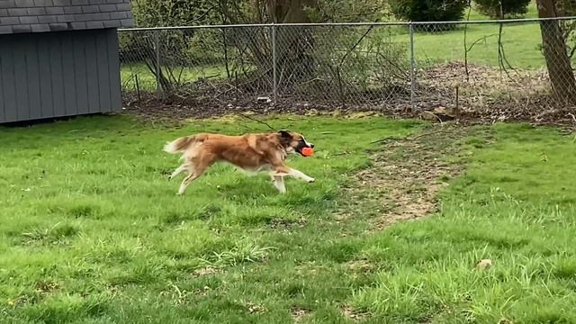 iPhone SE (2020) Review -- Affordable Power смотреть онлайн